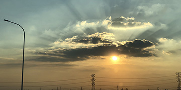 雷山悦旭技术优势